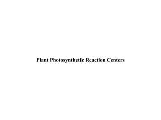 Plant Photosynthetic Reaction Centers
 