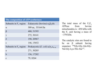 The composition of ATP synthetases
Subunits in F1 region Eukaryotic (bovine) α3β3γδε
α 509 aa, 55164 Da
β 480, 51595
γ 272, 30141
δ 190, 20967
ε 146, 15652
Subunits in Fo region Prokaryotic (E. coli) a,b2,c9-14
a 271, 30285
b 156, 17202
c 79, 8264
The total mass of the F1Fo
ATPase from bovine
mitochondria is ~450 kDa with
the F1 unit having a mass of
~370 kDa.
The catalytic sites are found to
be on β subunit having
sequence 149Gly-Gly-Ala-Gly-
Val-Gly-Lys-Thr-Ala157.
 