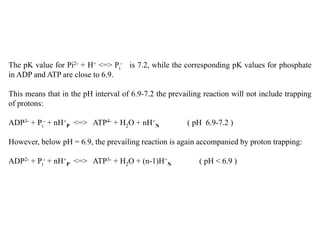 The pK value for Pi2- + H+ <=> Pi
- is 7.2, while the corresponding pK values for phosphate
in ADP and ATP are close to 6.9.
This means that in the pH interval of 6.9-7.2 the prevailing reaction will not include trapping
of protons:
ADP3- + Pi
- + nH+
P <=> ATP4- + H2O + nH+
N ( pH 6.9-7.2 )
However, below pH = 6.9, the prevailing reaction is again accompanied by proton trapping:
ADP2- + Pi
- + nH+
P <=> ATP3- + H2O + (n-1)H+
N ( pH < 6.9 )
 