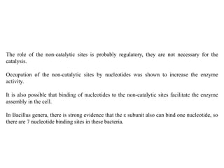 The role of the non-catalytic sites is probably regulatory, they are not necessary for the
catalysis.
Occupation of the non-catalytic sites by nucleotides was shown to increase the enzyme
activity.
It is also possible that binding of nucleotides to the non-catalytic sites facilitate the enzyme
assembly in the cell.
In Bacillus genera, there is strong evidence that the ε subunit also can bind one nucleotide, so
there are 7 nucleotide binding sites in these bacteria.
 