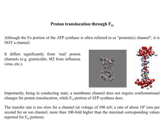 Proton translocation through FO
Although the Fo portion of the ATP synthase is often referred to as "proton(ic) channel", it is
NOT a channel.
The transfer rate is too slow for a channel (at voltage of 100 mV, a rate of about 106 ions per
second for an ion channel, more than 100-fold higher than the maximal corresponding values
reported for FO portion).
It differs significantly from ‘real’ proton
channels (e.g. gramicidin, M2 from influenza
virus, etc.).
Importantly, being in conducting state, a membrane channel does not require conformational
changes for proton translocation, while FO portion of ATP synthase does.
 