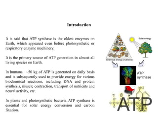 It is said that ATP synthase is the oldest enzymes on
Earth, which appeared even before photosynthetic or
respiratory enzyme machinery.
It is the primary source of ATP generation in almost all
living species on Earth.
In humans, ~50 kg of ATP is generated on daily basis
and is subsequently used to provide energy for various
biochemical reactions, including DNA and protein
synthesis, muscle contraction, transport of nutrients and
neural activity, etc.
In plants and photosynthetic bacteria ATP synthase is
essential for solar energy conversion and carbon
fixation.
Introduction
 