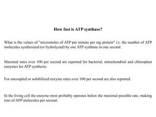 How fast is ATP synthase?
What is the values of "micromoles of ATP per minute per mg protein" i.e. the number of ATP
molecules synthesized (or hydrolyzed) by one ATP synthase in one second.
In the living cell the enzyme most probably operates below the maximal possible rate, making
tens of ATP molecules per second.
For uncoupled or solubilized enzyme rates over 100 per second are also reported.
Maximal rates over 100 per second are reported for bacterial, mitochondrial and chloroplast
enzymes for ATP synthesis.
 