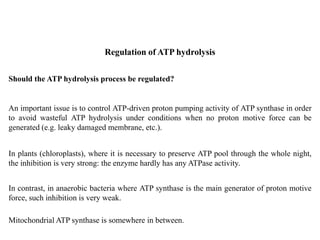 An important issue is to control ATP-driven proton pumping activity of ATP synthase in order
to avoid wasteful ATP hydrolysis under conditions when no proton motive force can be
generated (e.g. leaky damaged membrane, etc.).
Regulation of ATP hydrolysis
In plants (chloroplasts), where it is necessary to preserve ATP pool through the whole night,
the inhibition is very strong: the enzyme hardly has any ATPase activity.
In contrast, in anaerobic bacteria where ATP synthase is the main generator of proton motive
force, such inhibition is very weak.
Should the ATP hydrolysis process be regulated?
Mitochondrial ATP synthase is somewhere in between.
 