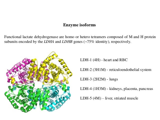 bt631-29-dehydrogenases bt631-29-dehydrogenases, Skeleton