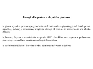 Biological importance of cysteine proteases
In plants, cysteine proteases play multi-faceted roles such as physiology and development,
signalling pathways, senescence, apoptosis, storage of proteins in seeds, biotic and abiotic
stresses.
In humans, they are responsible for apoptosis, MHC class II immune responses, prohormone
processing, extracellular matrix remodeling, inflammation.
In traditional medicines, these are used to treat intestinal worm infections.
 