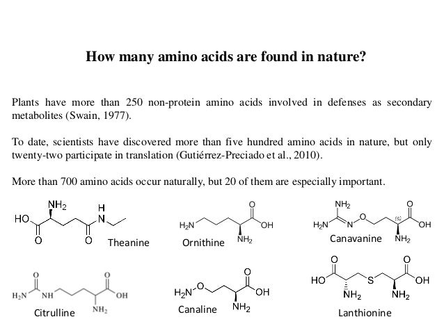 How many amino acids exist?