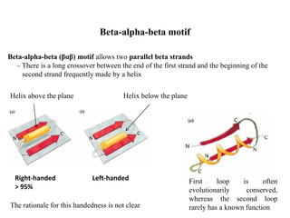 Beta-alpha-beta (βαβ) motif allows two parallel beta strands
– There is a long crossover between the end of the first strand and the beginning of the
second strand frequently made by a helix
First loop is often
evolutionarily conserved,
whereas the second loop
rarely has a known function
Helix above the plane Helix below the plane
Right-handed
> 95%
Left-handed
The rationale for this handedness is not clear
Beta-alpha-beta motif
 