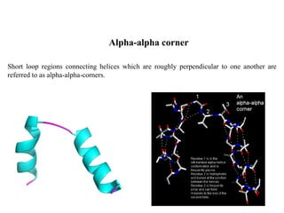 Alpha-alpha corner
Short loop regions connecting helices which are roughly perpendicular to one another are
referred to as alpha-alpha-corners.
 