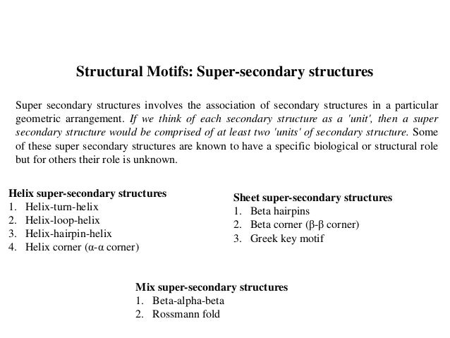 super secondary structure of protein ppt