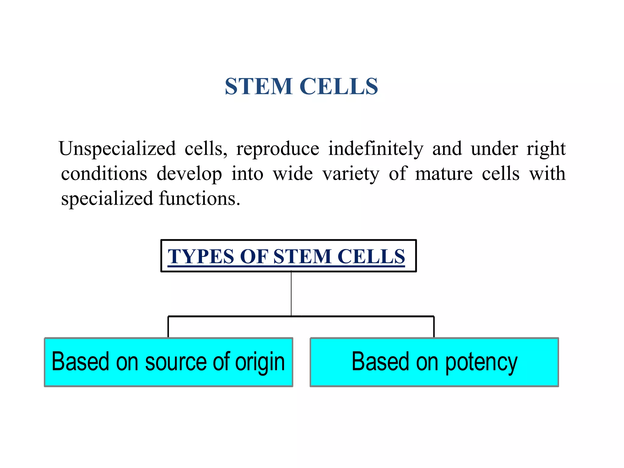 PRODUCTION AND MAINTENANCE OF EMBRYONIC STEM CELLS | PPTX