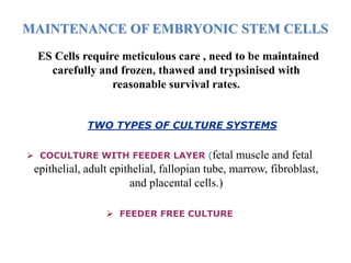 PRODUCTION AND MAINTENANCE OF EMBRYONIC STEM CELLS | PPTX