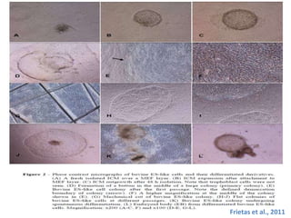 PRODUCTION AND MAINTENANCE OF EMBRYONIC STEM CELLS | PPTX