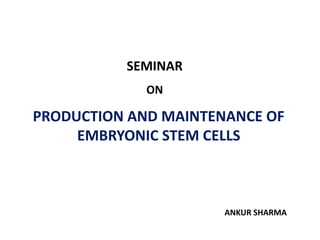 PRODUCTION AND MAINTENANCE OF
EMBRYONIC STEM CELLS
SEMINAR
ON
ANKUR SHARMA
 
