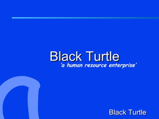 Black resource enterprise’
  ‘a human
           Turtle



                 Black Turtle
 