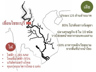 เสีย	
  
ประมง 125 ล้านล้านบาท	

เขื่อนไซยะบุร	
ี

80%	
  โปรตีนชาวกัมพูชา	
ปลาเศรษฐกิจ 8 ใน 10 ชนิด	
วางไข่เขตน้ําหลากรอบทะเลสาบ	

ได้	
  
• 
• 
• 
• 

ไฟฟ้า 1,285	
  MW	
  
ไทยซื้อไฟฟ้า 95%	
  
บริษัทก่อสร้างไทย	
ทุนจากธนาคารไทย 6	
  แห่ง	

>50%	
  อาหารหลักเวียตนาม	
จากพื้นที่ปากน้ําโขง	

 