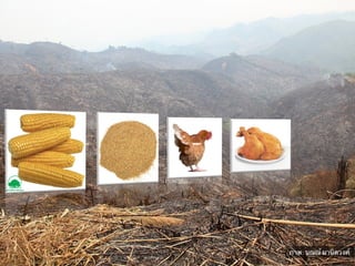 ภาพ:	
  นณณ์ ผานิตวงศ์	

 