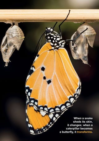 When a snake
sheds its skin,
it changes; when a
caterpillar becomes
a butterfly, it transforms.
 