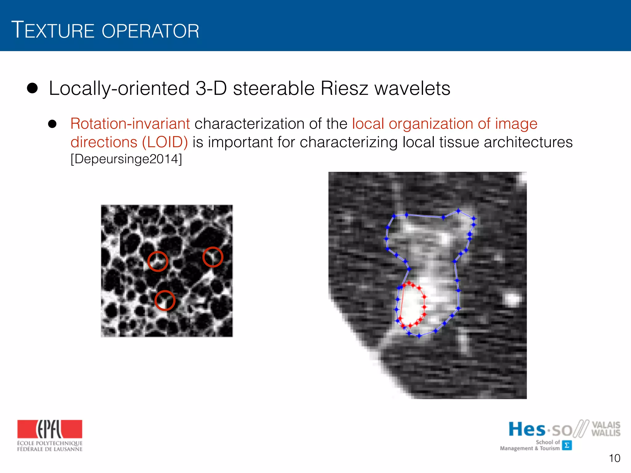 TEXTURE OPERATOR
10
• Locally-oriented 3-D steerable Riesz wavelets
• Rotation-invariant characterization of the local organization of image
directions (LOID) is important for characterizing local tissue architectures
[Depeursinge2014]
ael Unser
b)
reattentive texture segregation [3].
easily separated from L-shaped
patterns (left) are found to be more
can be distinguished by counting
 