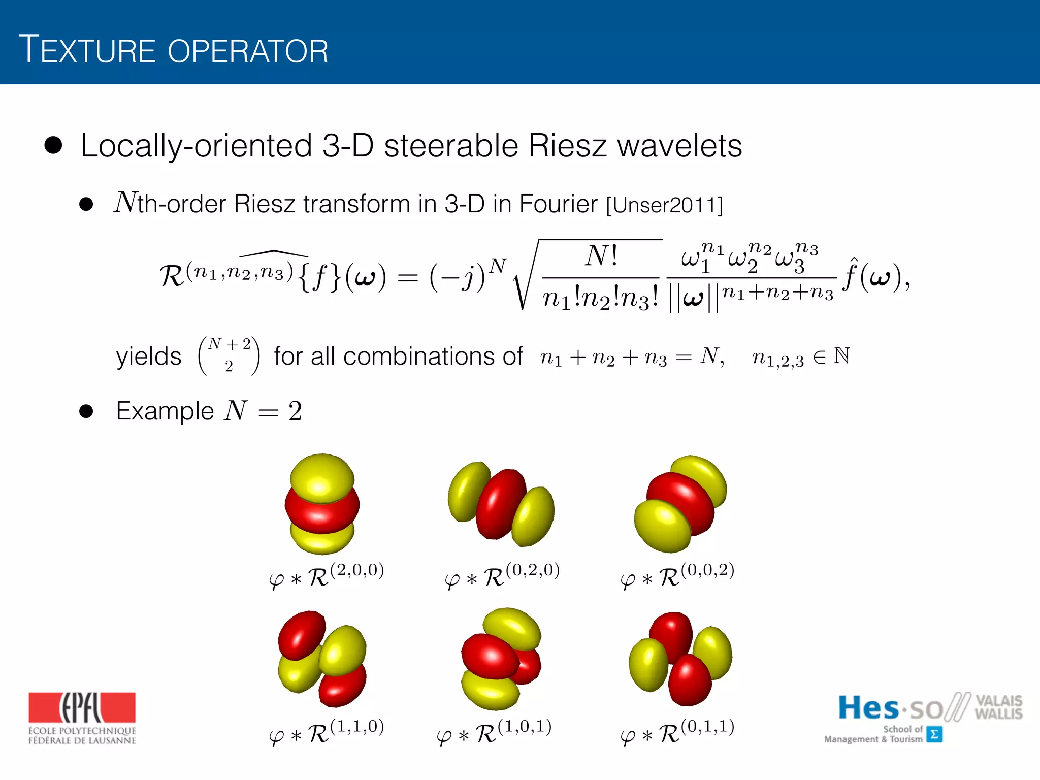 TEXTURE OPERATOR
• Locally-oriented 3-D steerable Riesz wavelets
• th-order Riesz transform in 3-D in Fourier [Unser2011] 
 
 
 
 
yields for all combinations of
• Example
N
✓
N + 2
2
◆
n1 + n2 + n3 = N, n1,2,3 2 N
R(n1,n2,n3){f}(!) = ( j)N
r
N!
n1!n2!n3!
!n1
1 !n2
2 !n3
3
||!||n1+n2+n3
ˆf(!),
2
ﬁnition
of the
visual
ith the
expert
to ﬁnd
ons of
k, and
s in a
G ⇤ R(2,0,0)
G ⇤ R(0,2,0)
G ⇤ R(0,0,2)
G ⇤ R(1,1,0)
G ⇤ R(1,0,1)
G ⇤ R(0,1,1)
N = 2
' ⇤ R(2,0,0)
' ⇤ R(0,2,0)
' ⇤ R(0,0,2)
' ⇤ R(0,1,1)
' ⇤ R(1,0,1)
' ⇤ R(1,1,0)
 