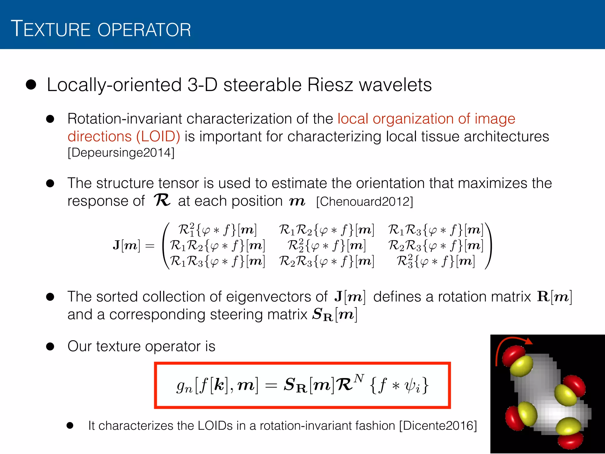TEXTURE OPERATOR
15
• Locally-oriented 3-D steerable Riesz wavelets
• Rotation-invariant characterization of the local organization of image
directions (LOID) is important for characterizing local tissue architectures
[Depeursinge2014]
• The structure tensor is used to estimate the orientation that maximizes the
response of at each position [Chenouard2012]
• The sorted collection of eigenvectors of deﬁnes a rotation matrix 
and a corresponding steering matrix
• Our texture operator is
• It characterizes the LOIDs in a rotation-invariant fashion [Dicente2016]
R
R[m]J[m]
m
J[m] =
0
@
R2
1{' ⇤ f}[m] R1R2{' ⇤ f}[m] R1R3{' ⇤ f}[m]
R1R2{' ⇤ f}[m] R2
2{' ⇤ f}[m] R2R3{' ⇤ f}[m]
R1R3{' ⇤ f}[m] R2R3{' ⇤ f}[m] R2
3{' ⇤ f}[m]
1
A
gn[f[k], m] = SR[m]RN
{f ⇤ i}
SR[m]
• Locally-oriented 3D Riesz wavelets [Chenouard2012,Depeursinge2015]
• Operator: directional ﬁlters behaving like local partial image derivatives
• E.g. second-order:
• Suitable for exploring ﬁrst- and higher-order transitions between voxel values
• Multi-scale (wavelets)
• Steerable
• Finds the 3D direction maximizing local image derivatives
• Combines directional analysis with rotation-invariance
PROPOSED 3D TEXTURE FEATURES
l
an ensemble of examples called the training set.28
Once the SVM model
has been built from the example cases, it can predict the class of an un-
seen case with a confidence score (called computer score thereinafter).
The group of variables feeding SVMs consisted of the responses (ie,
energies) of the multiscale Riesz filters in each of the 36 anatomical re-
gions of the lungs (Fig. 3). The size of the vector vl regrouping the re-
sponses of the 6 Riesz filters at 4 scales from the 36 regions was
equal to 864.
To compare Riesz wavelets with other features that could capture
the radiological phenotype of diffuse lung disease, 2 different feature
groups were extracted for each region to provide a baseline performance:
15 histogram bins of the gray levels in the extended lung window
[−1000; 600] Hounsfield units (HU) and 3D gray-level co-occurrence
matrices (GLCM).29
Statistical measures from GLCMs are popular tex-
ture attributes that were used by several studies in the literature to
in {−3; 3} and {8, 16, 32}, respectively. The size
butes vl was 540 for the gray-level histogram attrib
inafter) and 396 for the GLCM attributes.
RESULTS
A leave-one-patient-out cross-validation ev
estimate the performance of the proposed appr
patient-out cross-validation consisted of using all
the SVM model and to measure the prediction pe
maining test patient. The prediction performanc
over all possible combinations of training and t
operating characteristic (ROC) curves of the sys
classifying between classic and atypical UIP are s
different feature groups and their combinations. T
obtained by varying the decision threshold betwe
FIGURE 2. Second-order Riesz filters characterizing edges along the main image directions X, Y, Z and 3 diagonals XY, XZ, and YZ. F
online in color at www.investigativeradiology.com.
© 2014 Wolters Kluwer Health, Inc. All rights reserved. www.investigative
Copyright © 2014 Wolters Kluwer Health, Inc. Unauthorized reproduction of this article is prohibited.
@2
@x2
@2
@y2
@2
@z2
@2
@x@y
@2
@x@z
@2
@y@z
scale 1 scale 2
 
