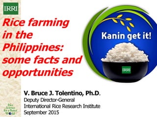 Rice farming
in the
Philippines:
some facts and
opportunities
V. Bruce J. Tolentino, Ph.D.
Deputy Director-General
International Rice Research Institute
September 2015
 