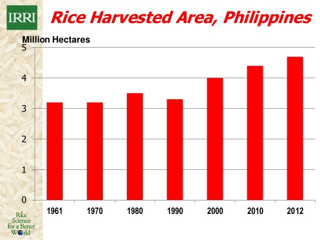 Rice Farming In The Philippines Some Facts And Opportunities
