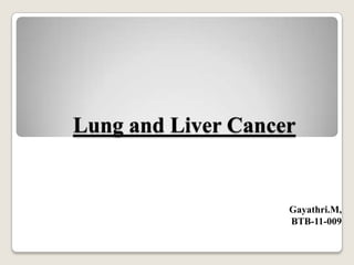 Lung and Liver Cancer
Gayathri.M,
BTB-11-009
 