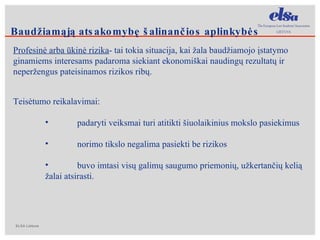 Profesinė arba ūkinė rizika - tai tokia situacija, kai žala baudžiamojo įstatymo ginamiems interesams padaroma siekiant ekonomiškai naudingų rezultatų ir neperžengus pateisinamos rizikos ribų.  Teisėtumo reikalavimai:  padaryti veiksmai turi atitikti šiuolaikinius mokslo pasiekimus norimo tikslo negalima pasiekti be rizikos buvo imtasi visų galimų saugumo priemonių, užkertančių kelią žalai atsirasti. Baudžiamąją atsakomybę šalinančios aplinkybės 