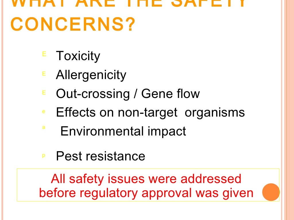 Bt brinjal pdf image