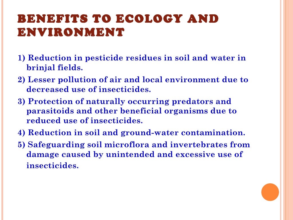 Bt brinjal ppt image