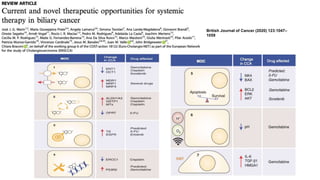 British Journal of Cancer (2020) 123:1047–
1059
 