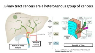 Biliary tract cancers are a heterogenous group of cancers
40% of all Biliary
Cancers
Klatskin
Tumors Ampulla of Vater
Banales et al. NATURE Reviews. GASTROENTEROLOGY & HEPATOLOGY
volume 17. September 2020. 557
 