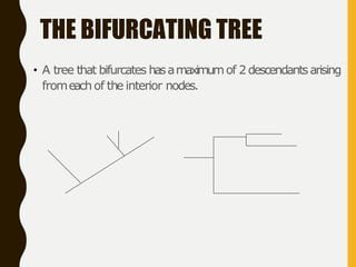 BTC 506 Phylogenetic Tree.pptx