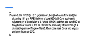 Inoue Method of Competent Cell Preperation | PPTX