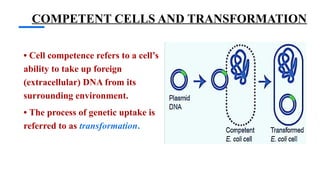 Inoue Method of Competent Cell Preperation | PPTX