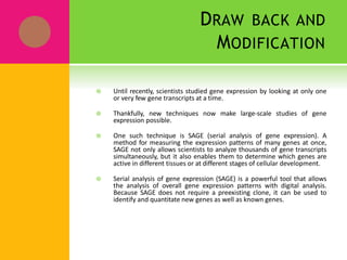 DRAW BACK AND
MODIFICATION
 Until recently, scientists studied gene expression by looking at only one
or very few gene transcripts at a time.
 Thankfully, new techniques now make large-scale studies of gene
expression possible.
 One such technique is SAGE (serial analysis of gene expression). A
method for measuring the expression patterns of many genes at once,
SAGE not only allows scientists to analyze thousands of gene transcripts
simultaneously, but it also enables them to determine which genes are
active in different tissues or at different stages of cellular development.
 Serial analysis of gene expression (SAGE) is a powerful tool that allows
the analysis of overall gene expression patterns with digital analysis.
Because SAGE does not require a preexisting clone, it can be used to
identify and quantitate new genes as well as known genes.
 