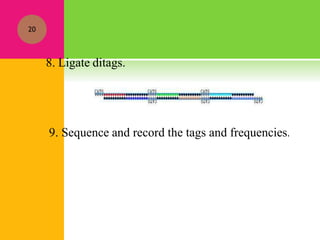 8. Ligate ditags.
9. Sequence and record the tags and frequencies.
20
 