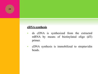 cDNA synthesis
 ds cDNA is synthesized from the extracted
mRNA by means of biotinylated oligo (dT)
primer.
 cDNA synthesis is immobilized to streptavidin
beads.
24
 