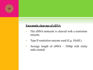 Enzymatic cleavage of cDNA
 The cDNA molecule is cleaved with a restriction
enzyme.
 Type II restriction enzyme used (E.g. NlaIII.)
 Average length of cDNA – 256bp with sticky
ends created.
26
 