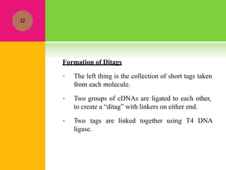 Formation of Ditags
 The left thing is the collection of short tags taken
from each molecule.
 Two groups of cDNAs are ligated to each other,
to create a “ditag” with linkers on either end.
 Two tags are linked together using T4 DNA
ligase.
32
 