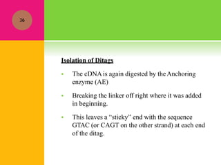 Isolation of Ditags
 The cDNAis again digested by theAnchoring
enzyme (AE)
 Breaking the linker off right where it was added
in beginning.
 This leaves a “sticky” end with the sequence
GTAC (or CAGT on the other strand) at each end
of the ditag.
36
 