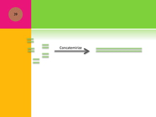 39
Concatemirize
 
