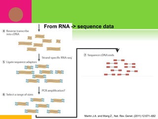Martin J.A. and Wang Z., Nat. Rev. Genet. (2011) 12:671–682
From RNA -> sequence data
 