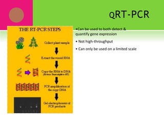 QRT-PCR
•Can be used to both detect &
quantify gene expression
• Not high-throughput
• Can only be used on a limited scale
 
