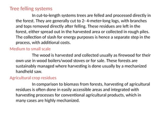 Tree Conversion Methods Biochemical and Thermochemical Conversion of Biomass.pptx