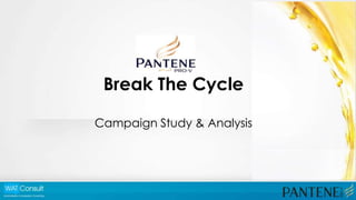 Break The Cycle

Campaign Study & Analysis
 
