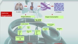 Scvo2 Cardiac Output btcls airway breathing manegement rs aws.pptx