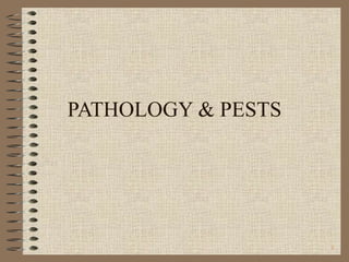 PATHOLOGY & PESTS 