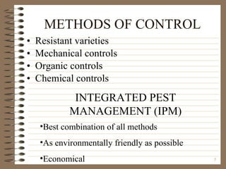 METHODS OF CONTROL Resistant varieties Mechanical controls Organic controls Chemical controls INTEGRATED PEST MANAGEMENT (IPM) Best combination of all methods As environmentally friendly as possible Economical 
